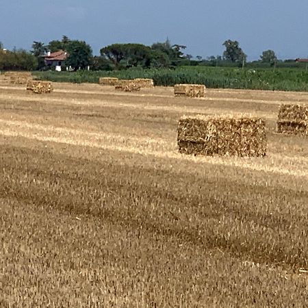 קאורלה Agriturismo Ca' Alleata מראה חיצוני תמונה