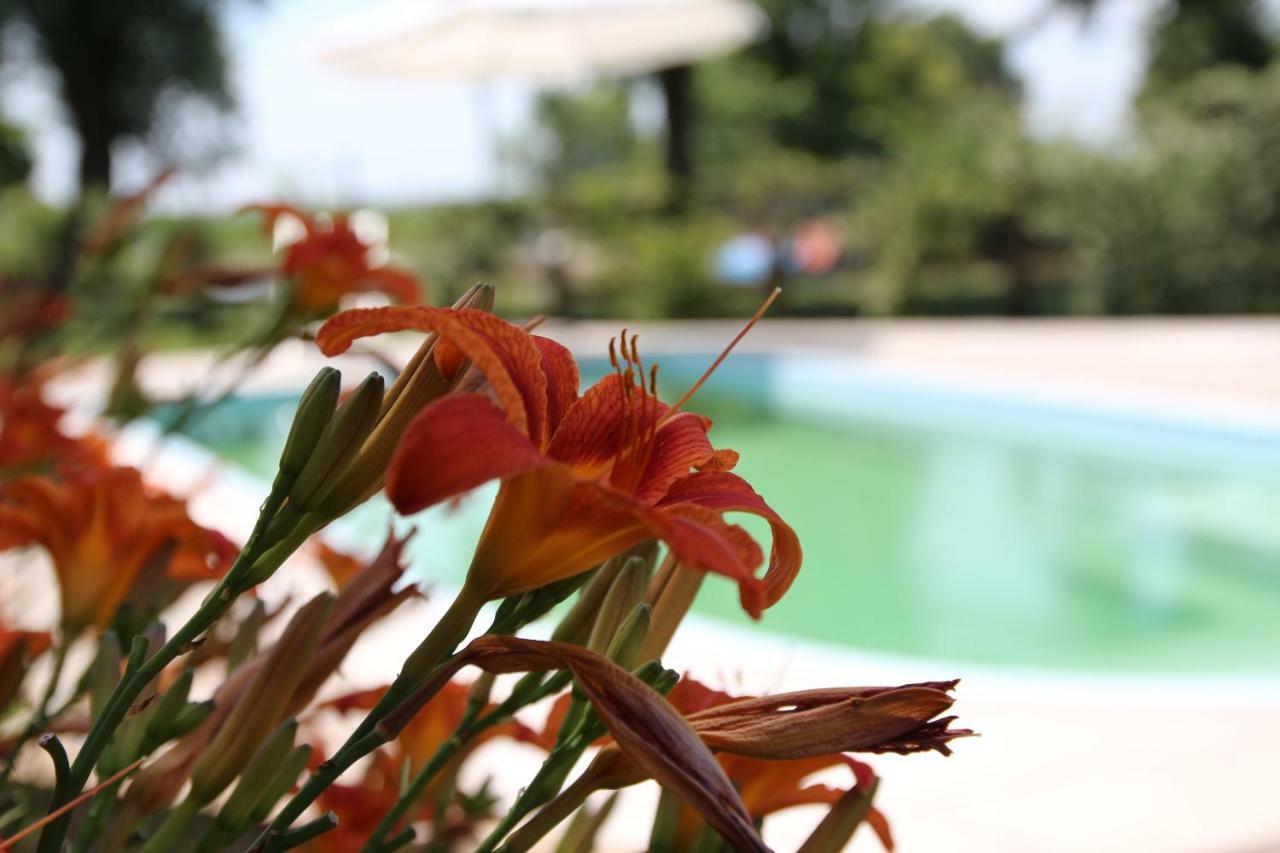 קאורלה Agriturismo Ca' Alleata מראה חיצוני תמונה